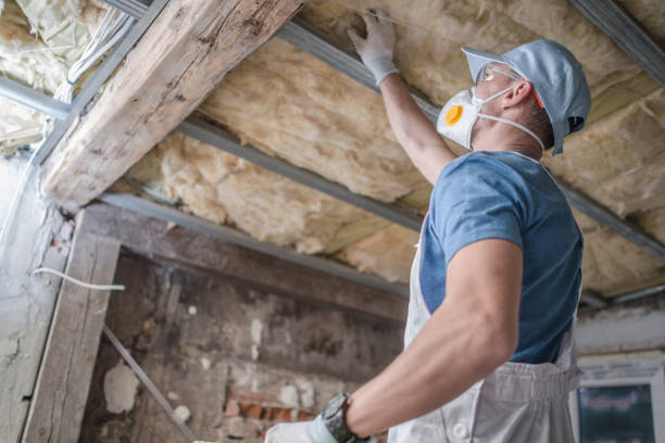 Best Insulation Maintenance and Repair in Rector, AR