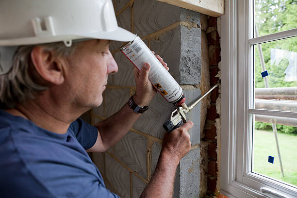 Best Residential Insulation in Rector, AR
