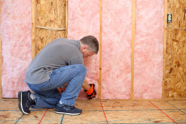 Best Types of Insulation in Rector, AR